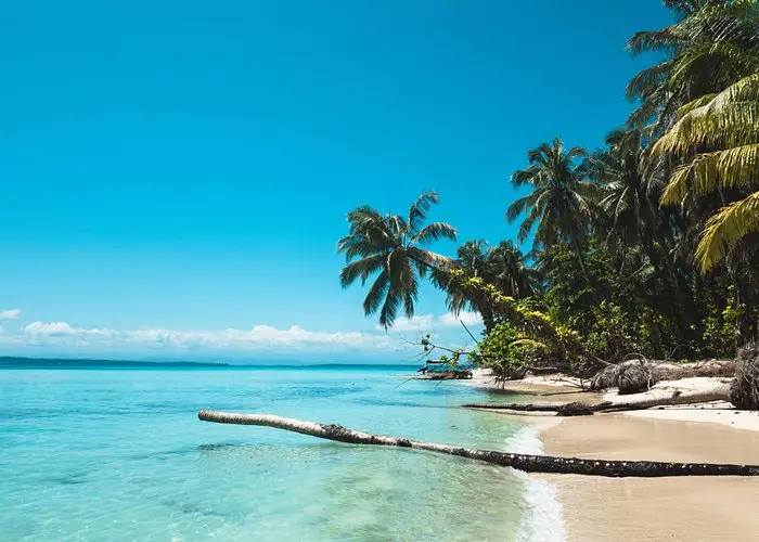 Flight to Bocas del toro from panama city